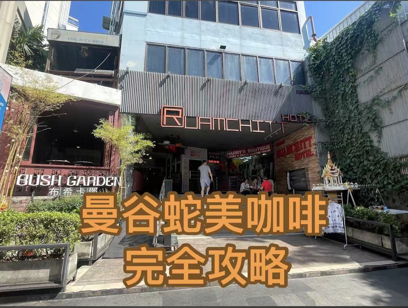 曼谷风俗情报之蛇美咖啡完整攻略（2026最新版）